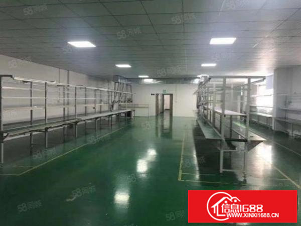 厂房龙华大浪1000平无尘车间精装修单层标准厂房出租