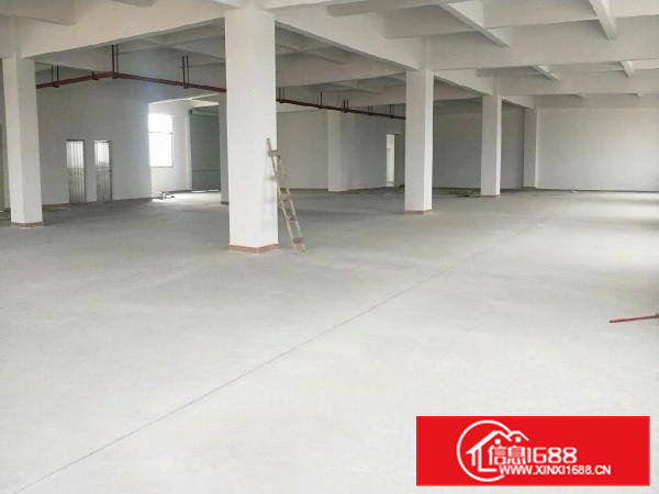 虎门镇南栅楼上厂房招租