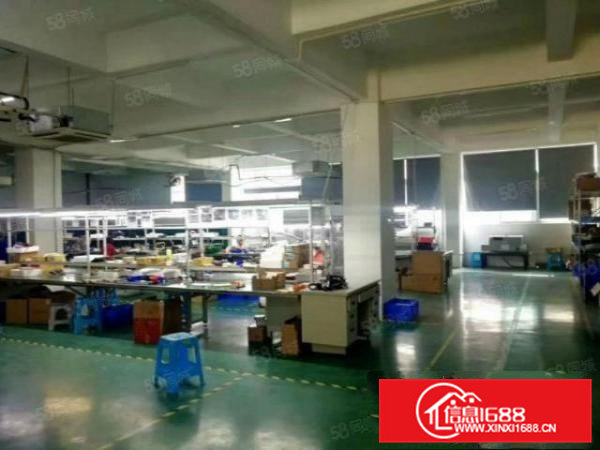 清溪三中新出原房东可以办环评楼上850平带装修空地大