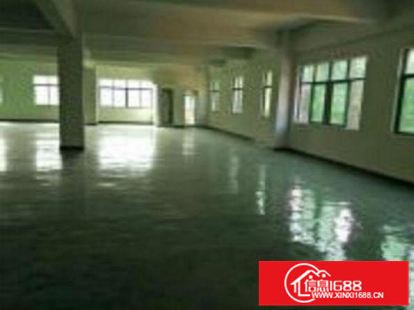 龙岗宝龙工业区招租：五金、电子、服装、皮具、贸易等行业