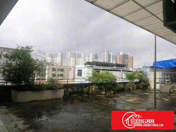 龙岗中心城五联路，办公室厂房350平米