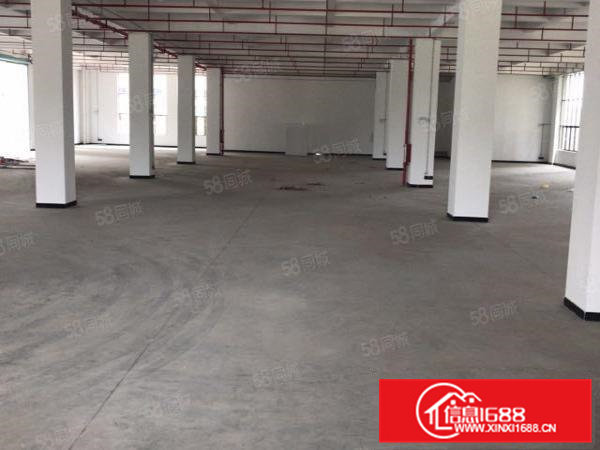 东部快线出口附近全新独门独院厂房出租急租