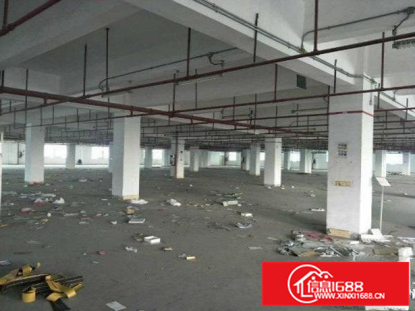清溪高速出口楼上5800平方整层带消防喷淋厂房出租