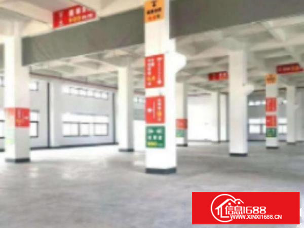 高埗标准独院厂房5000平招租空地大租金便宜