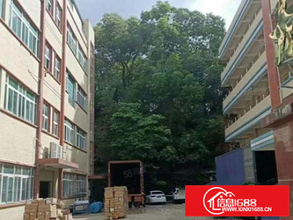 凤岗镇新出精装修独院厂房总面积6500平方出租