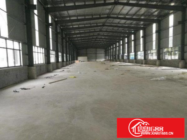 惠阳秋长新出滴水全新9米高钢构共24000平方（可分租）