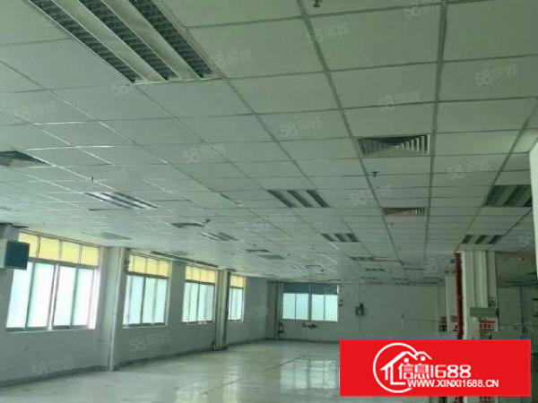 茶山原房东带红本现成装修大型工业园区独院厂房招租