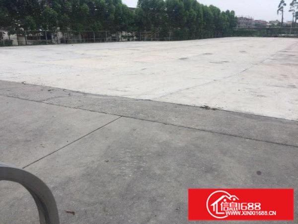 顺德大良红岗地皮已经硬化5000方出租