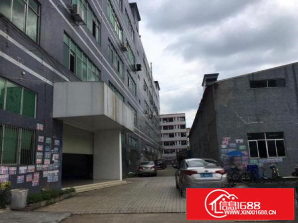 坪山老坑工业区标准一楼300平业主急租