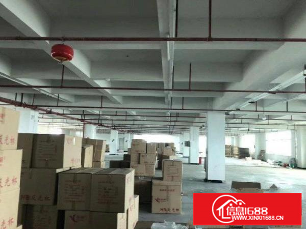 惠州小金口独门独院5000平米厂房出租