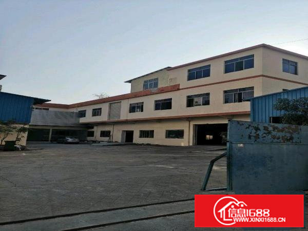 虎门南栅独门独院厂房