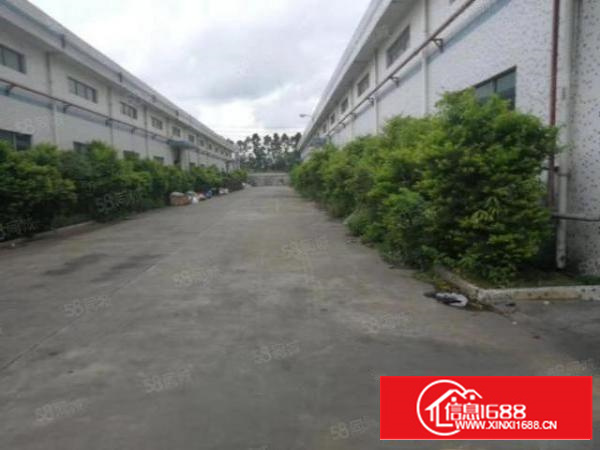 寮步华南城钢构厂房出租2000平方，滴水8米高