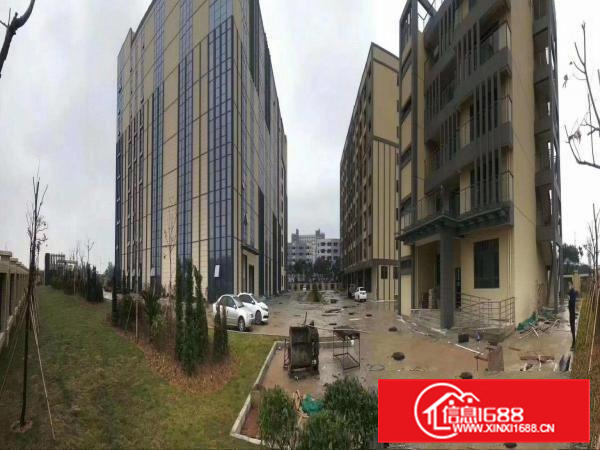 长安上沙沿江高速，新出独院50000平方，可以大小分租