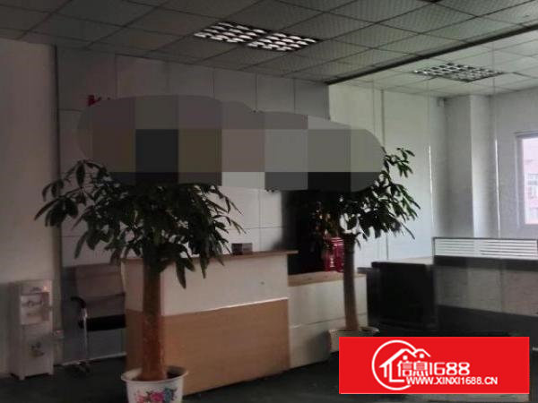 沙井沙头西环路边上楼厂房500平米