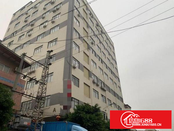 赤岗环管快速边新出精装修1500平厂房两个全新货梯