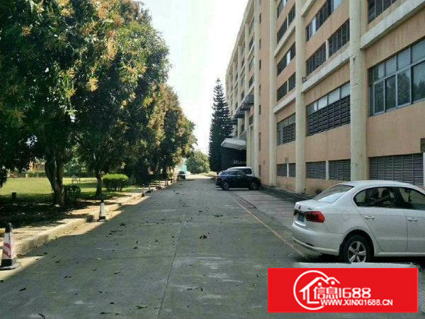 塘厦林村标准厂房楼上500平