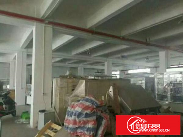 秋长维布原房东6000平厂房出租，白菜价13元