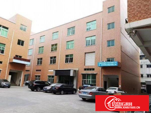 新四新出一楼1550平方，厂房现成装修