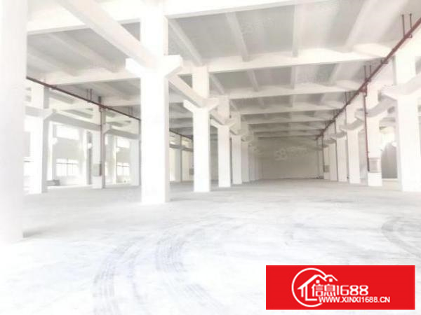 全新厂房独门独院标准厂房15000方可分租配电大