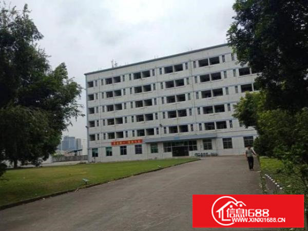 观澜高新科技园新建厂房招租可分租小面积园区空地大停车方便