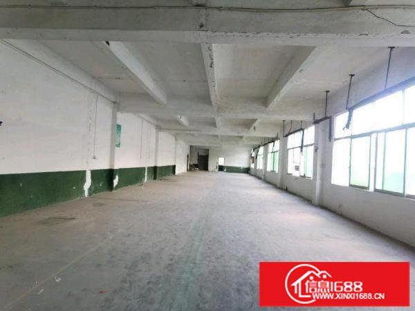 独门独院厂房，交通便利，空地面积大