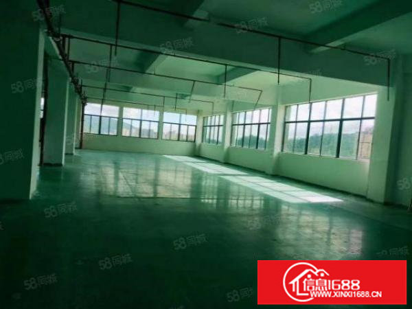 龙华大浪高新园区2800精装修厂房招租