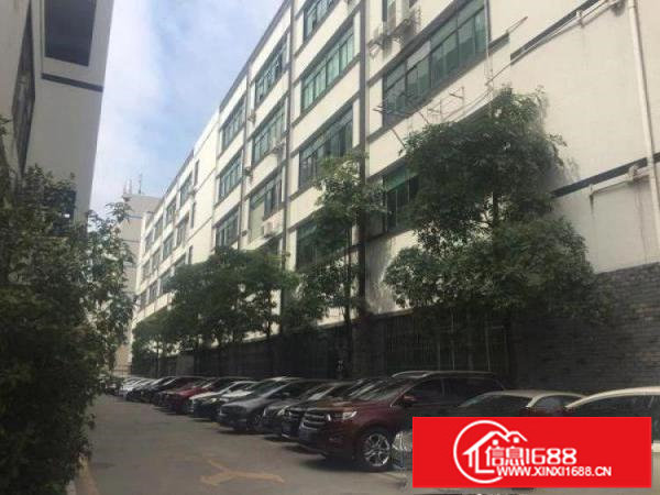 平湖新木1楼800平方厂房急租