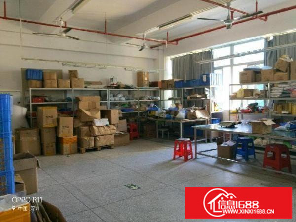 坂田雪象厂房900平米