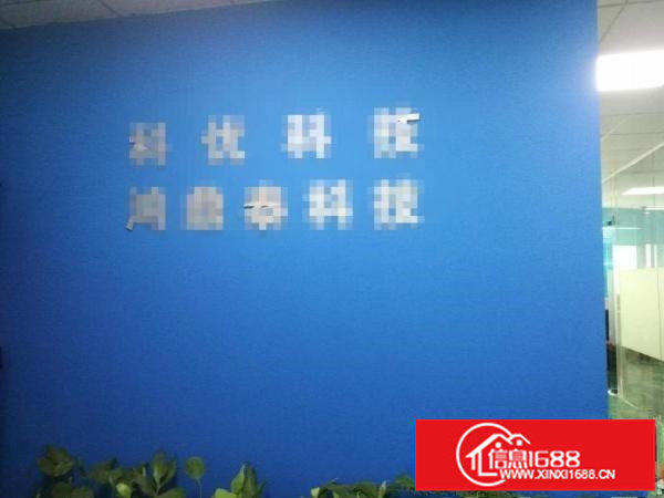 龙华大浪新百丽附近新出标准精装厂房360平出租