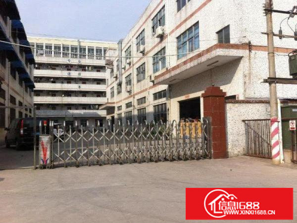 坑梓秀新工业区新出七米高一楼1800平方出租