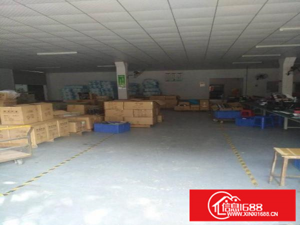 新圩约场独门独院厂房出租