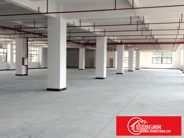 工业聚集地全新独门独院厂房，超大空地可办环评，可分租。