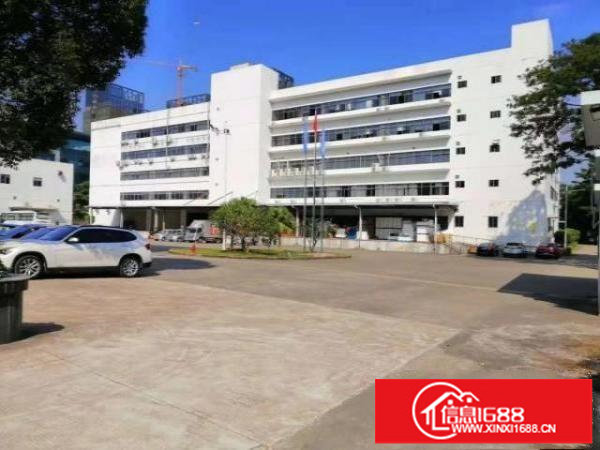 龙岗宝龙工业区花园式独院厂房一楼整层3600平招租