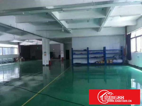 坪山原房东1楼500平带装修