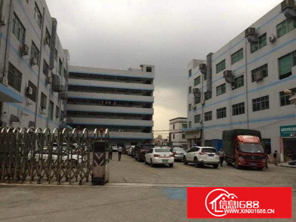 凤岗天堂围西旺工业区新出1180平一楼厂房火热招租