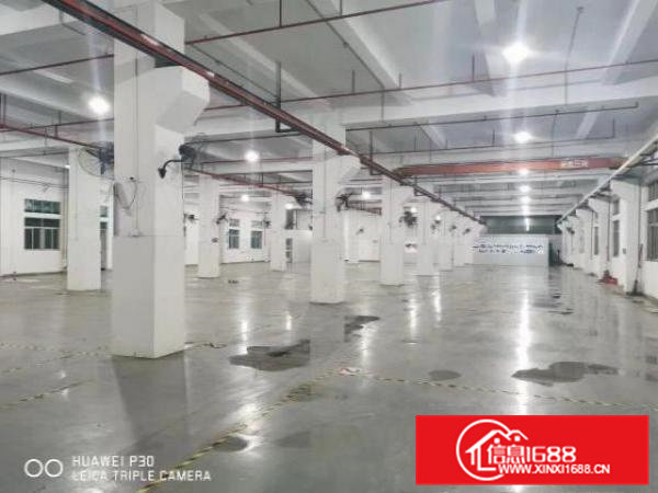 寮步镇上屯工业区分租一楼2000平方