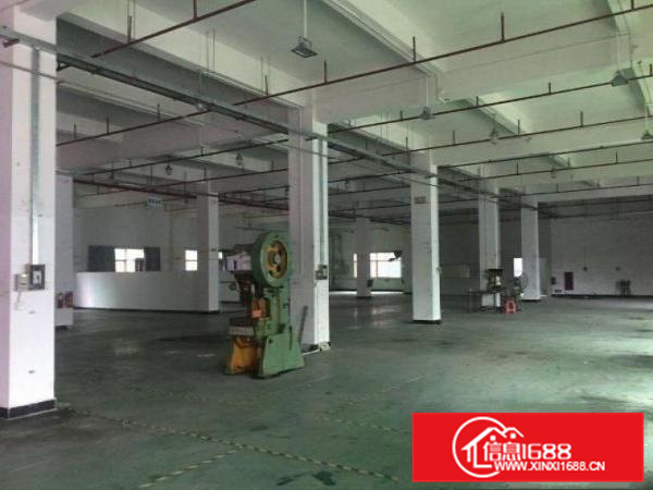 仲恺惠环站一楼1500平标准厂房