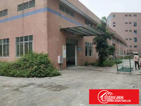 茶山镇独门独院单一层厂房1500平方招租