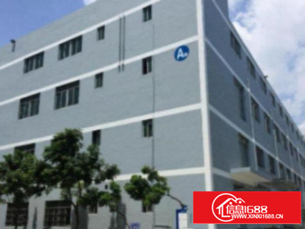 万江工业园楼上带装修厂房分租1500平方出租交通方便好招工