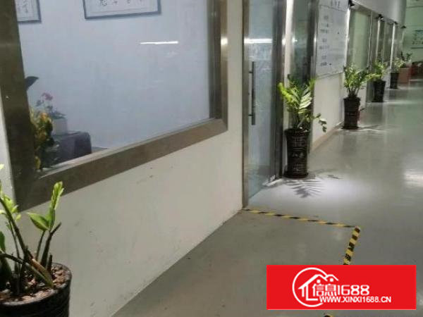 自己租的，部分办公室和车间出租。我们做灯具和广告灯条。