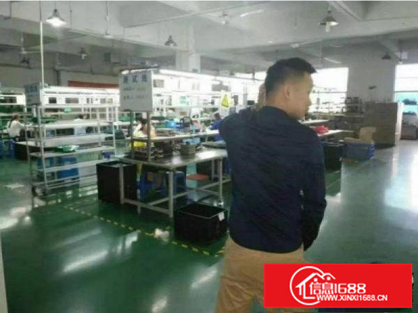 清溪土桥新出楼上1200平方带装修厂房招租，空地大