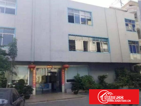 清溪九乡村1200平方厂房仓库出租工业用地可噪音