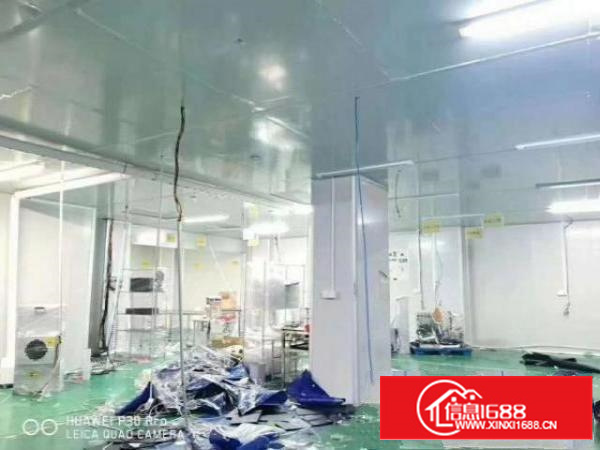 清溪精装修厂房招租430平方