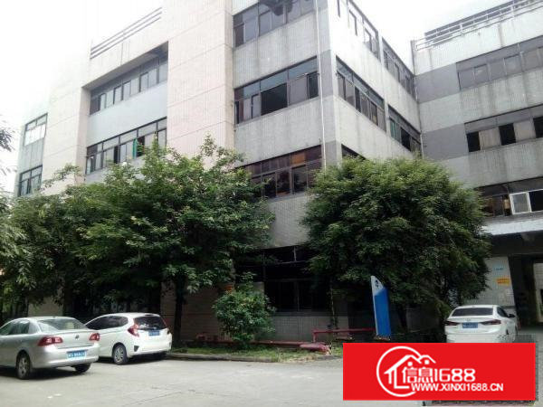 横沥镇新城工业区独门独院分租5000