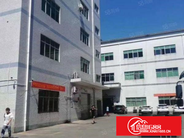 急租！清溪三中标准3楼370平精装修有货梯