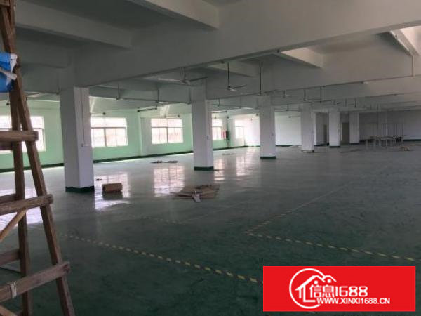 坪山新出精品小独院3200平招租可分租