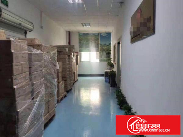 星光新出楼上精装厂房1100平，可办环评