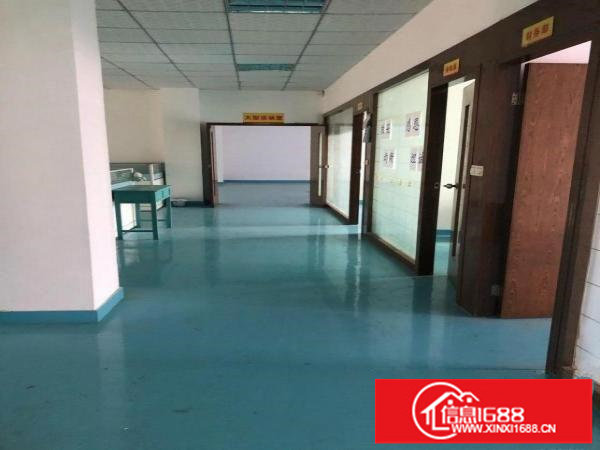 龙岗横岗沙荷路边独门独院水电齐全精装修办公室