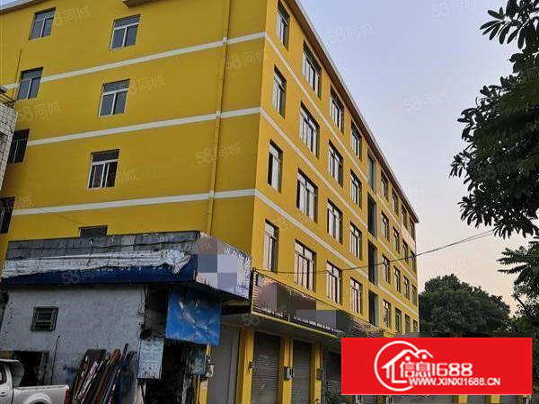 寮步镇浮竹山独栋标准厂房分租2楼整层1000平可分租简单装修