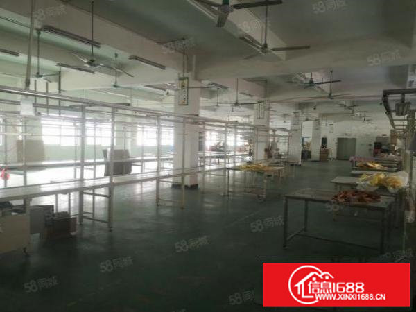 清溪镇三中村主路边新出独院5000平带豪华装修可分租